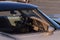1982 Chevrolet Corvette 2dr Hatchback